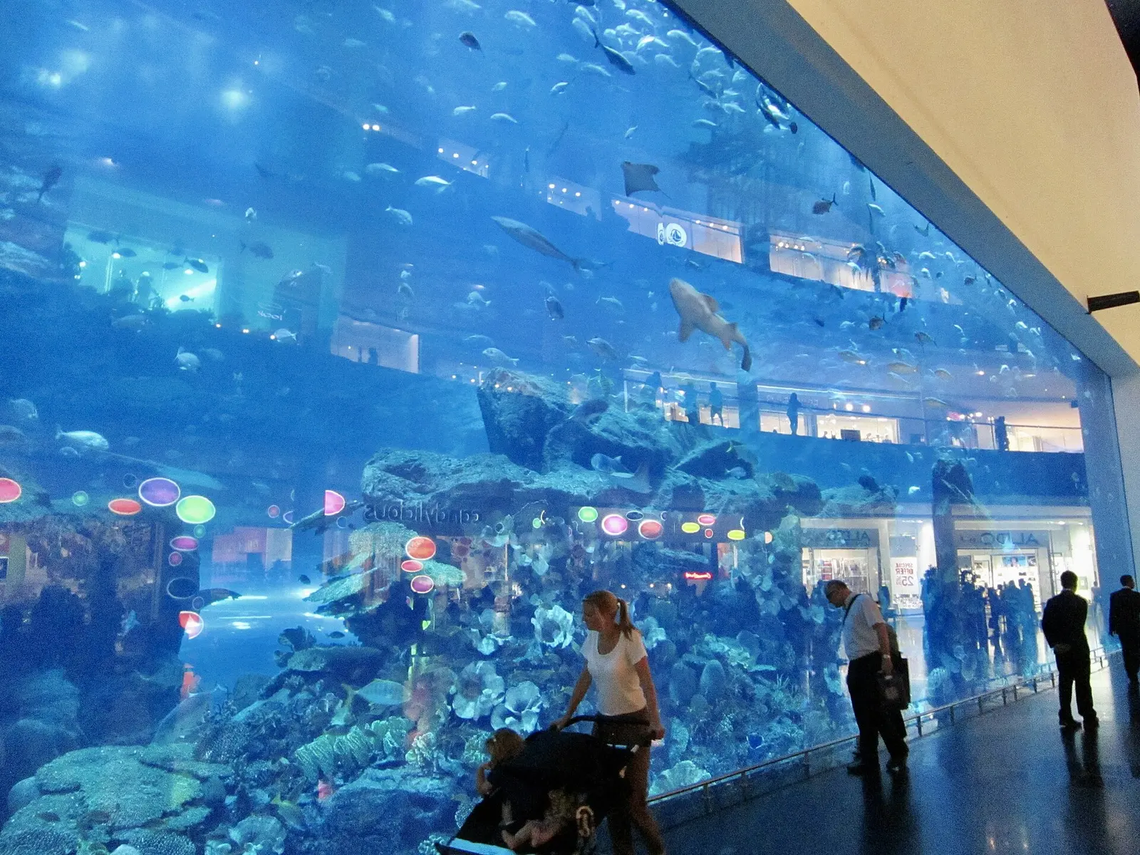 Visitors in front of the Dubai Mall aquarium wall