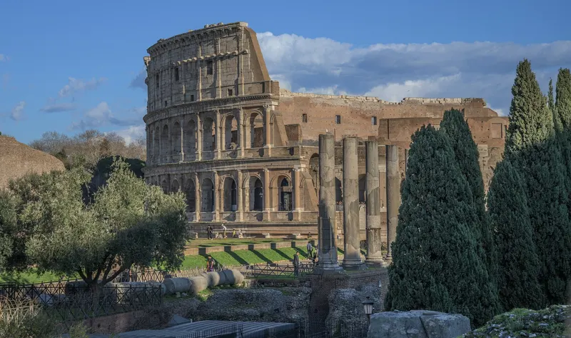 The Colosseum in Rome seen from above the Roman Forum, with cypress trees in the foreground