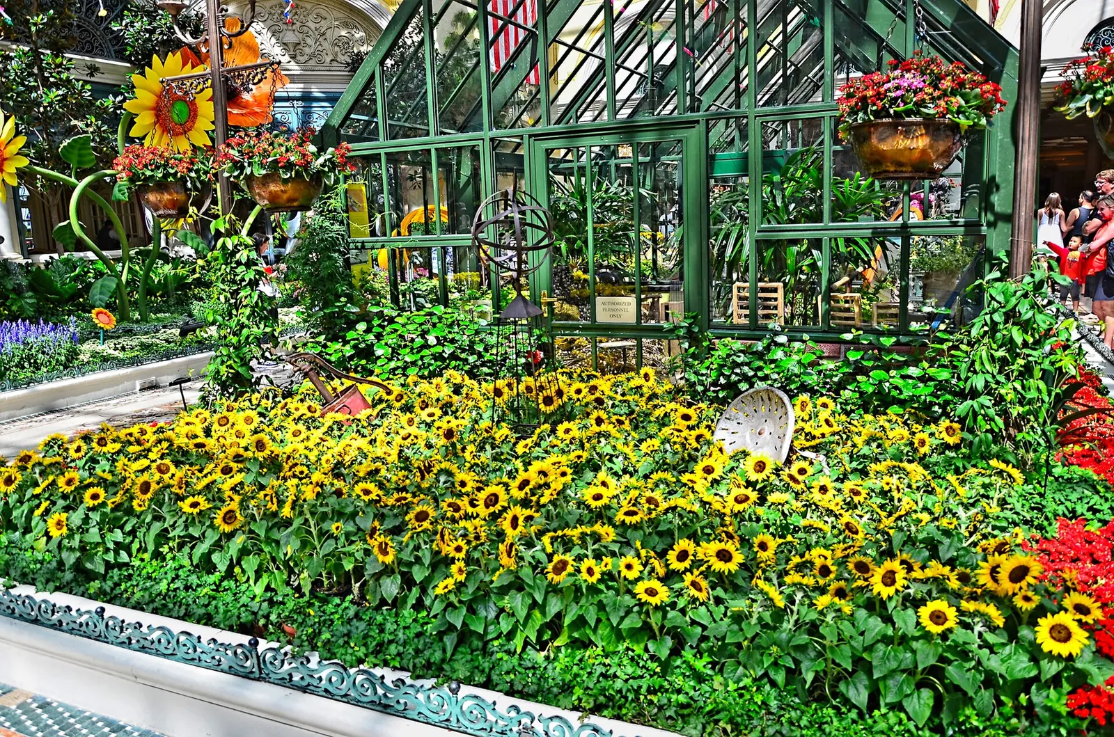 Flower displays inside the Bellagio Conservatory